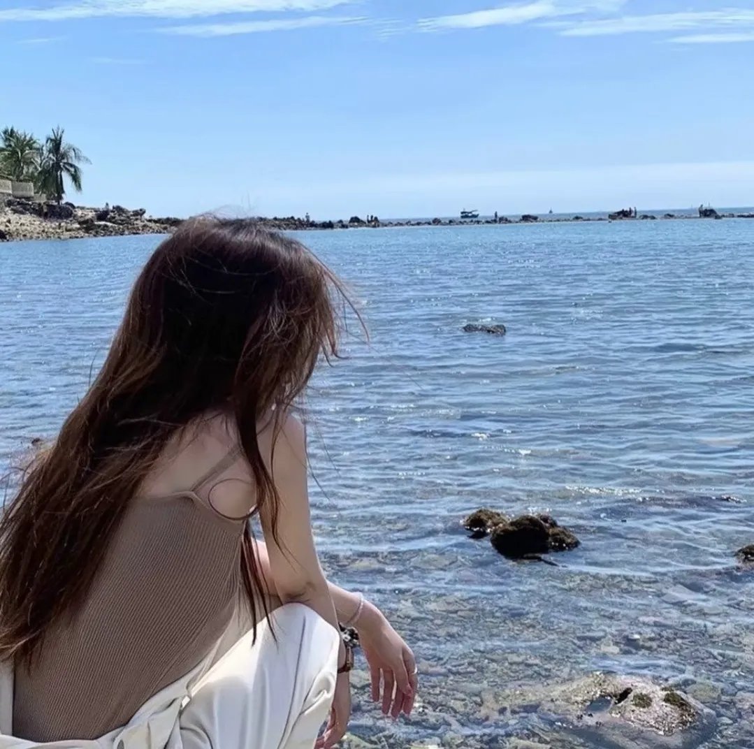 隐形红翼